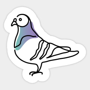 Pigeon Sticker